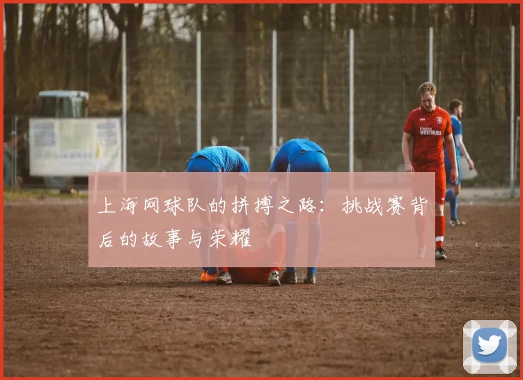 上海网球队的拼搏之路：挑战赛背后的故事与荣耀