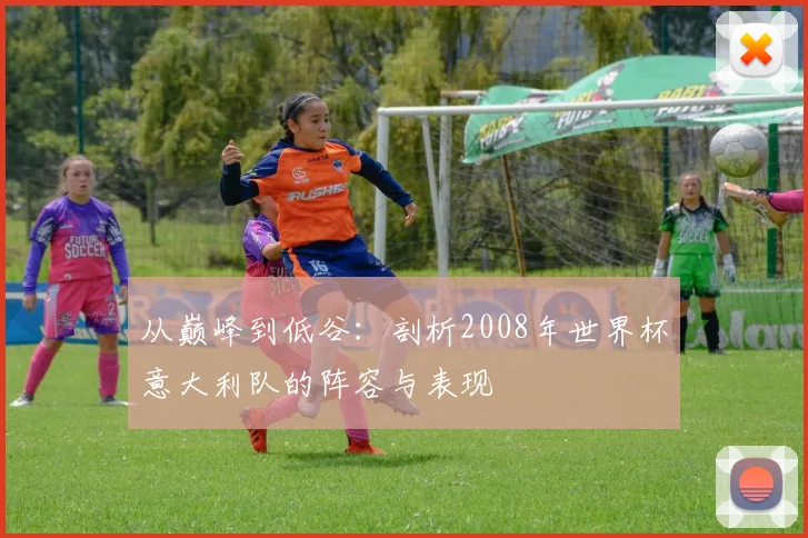 从巅峰到低谷：剖析2008年世界杯意大利队的阵容与表现